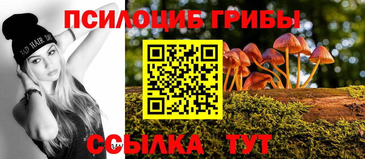 Южноуральск  Псилоцибиновые грибы мухоморы  Вход с VPN 
